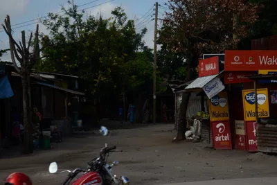 DSC_7530 (Large).JPG